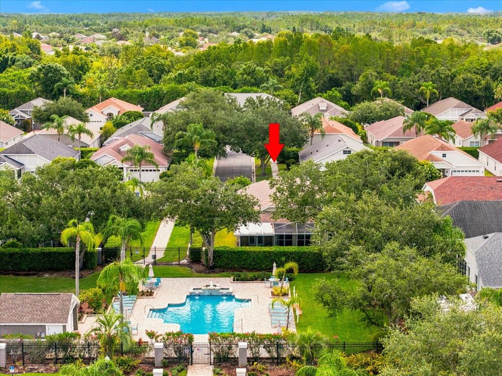 An aerial view shows a residential neighborhood with a swimming pool in the foreground — 4628 CORSAGE DRIVE, LUTZ, FL