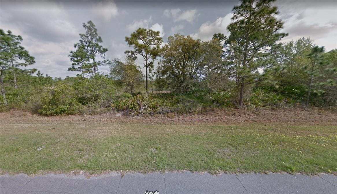 A vacant, wooded lot with native trees and shrubs sits behind a grassy roadside verge — 12A Oberly Parkway, FL 32833, FL