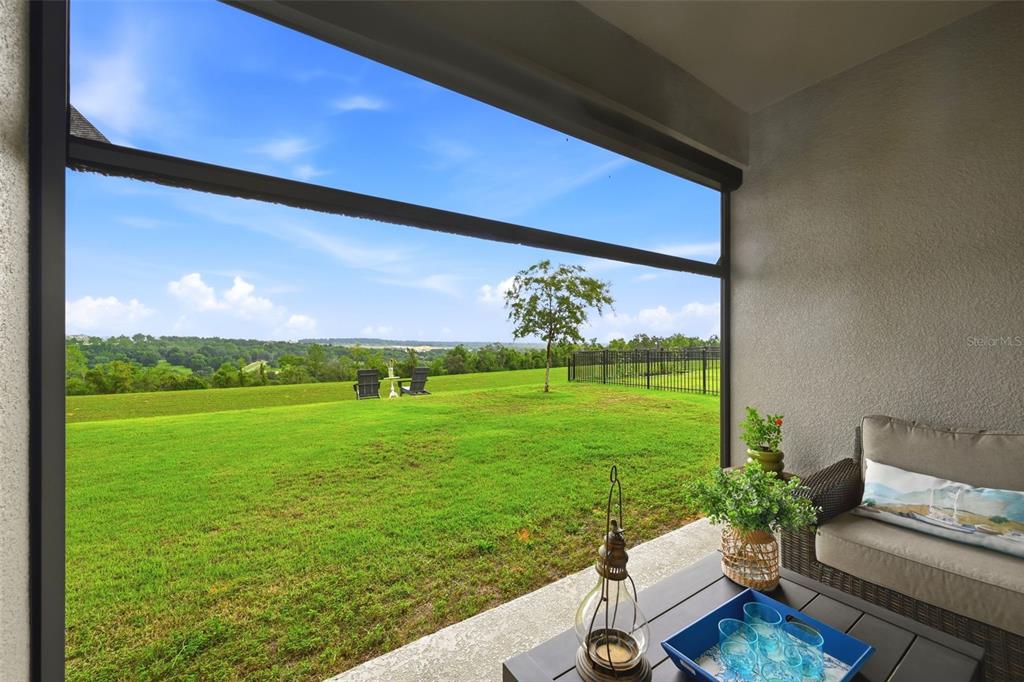 A screened-in patio overlooks a grassy backyard with a distant view of rolling hills — 2346 GOLD DUST DRIVE, MINNEOLA, FL