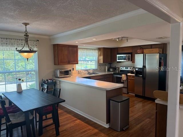 A living room features brown carpeting, a television, two armchairs, a sofa, and a desk — 1449 ERROL PARKWAY, APOPKA, FL