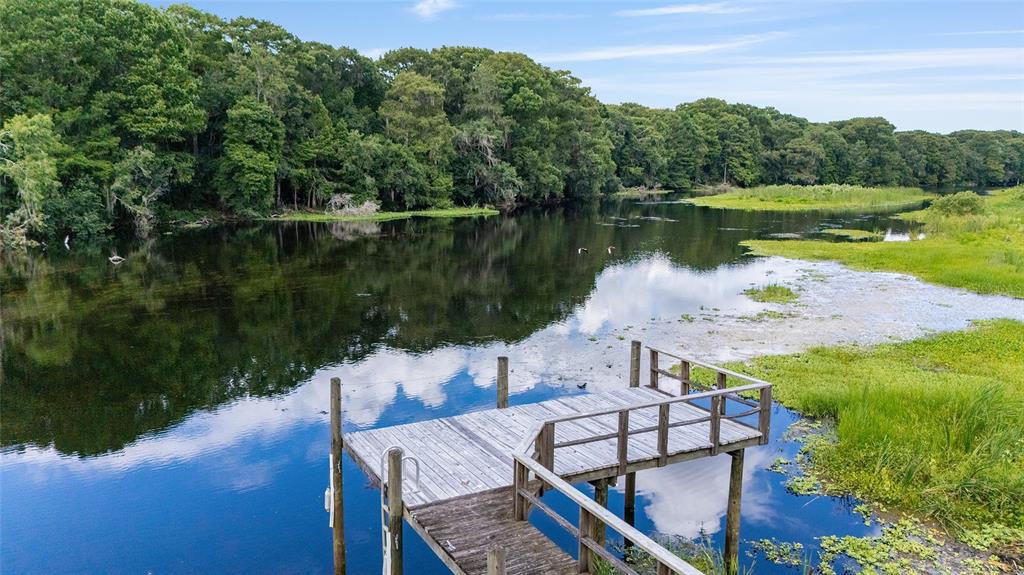A wooden dock extends into a calm river surrounded by dense green trees and vegetation — 2299 N BAYOU POINT, INVERNESS, FL