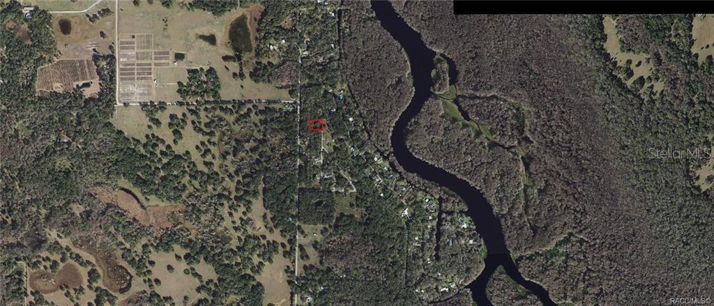 This is an aerial map showing a wooded area with a river and a highlighted property — 384 N STAFF POINT, INVERNESS, FL