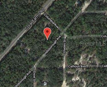 This is a satellite map view showing a red location pin on a wooded lot — 128 W HILLSBOROUGH AVENUE, FLORAHOME, FL