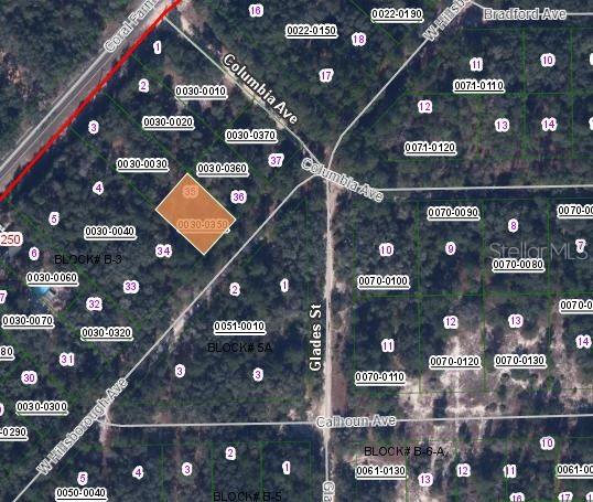 This is a satellite map view showing a highlighted land parcel among surrounding wooded lots — 128 W HILLSBOROUGH AVENUE, FLORAHOME, FL