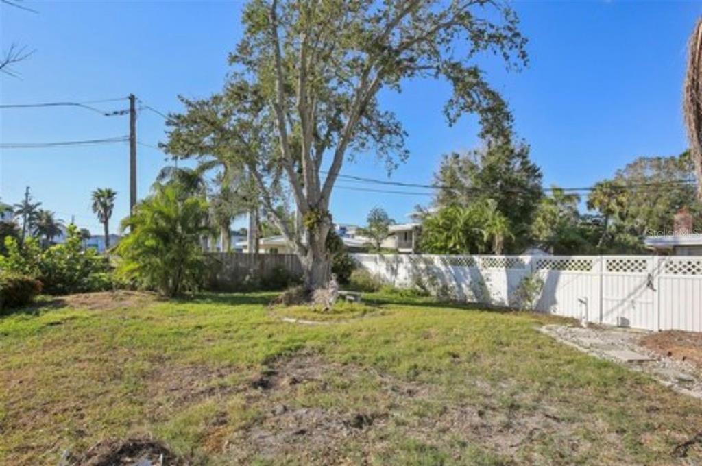 A grassy backyard features a large central tree, a white vinyl fence, and palm trees — 100 AUGUSTA AVENUE, PALM HARBOR, FL