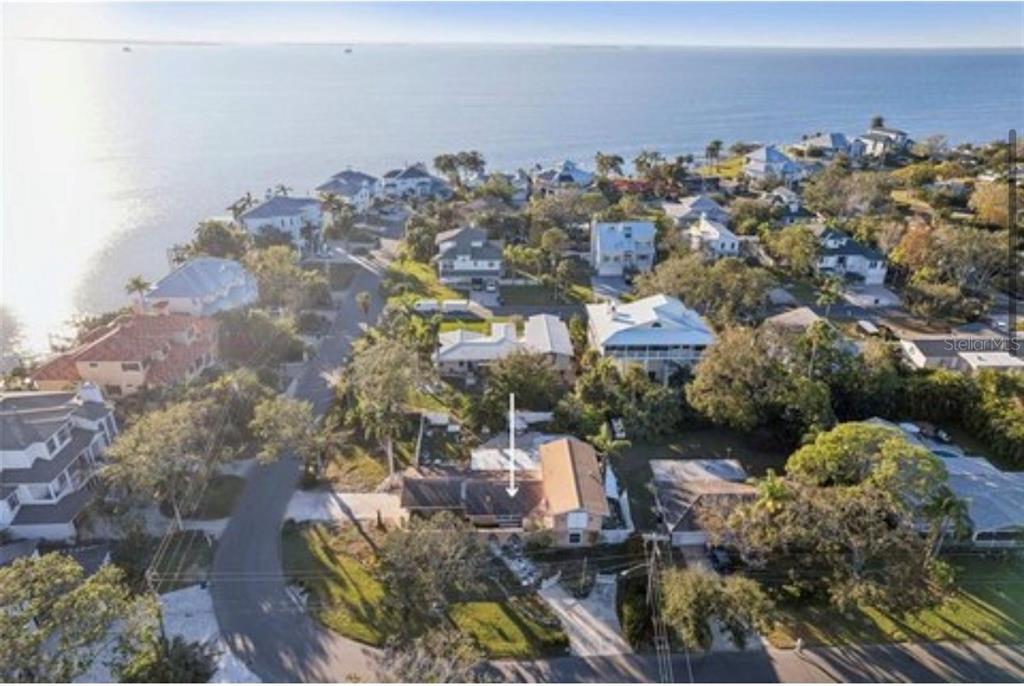 An aerial view shows a residential neighborhood with houses situated along a coastal shoreline — 100 AUGUSTA AVENUE, PALM HARBOR, FL