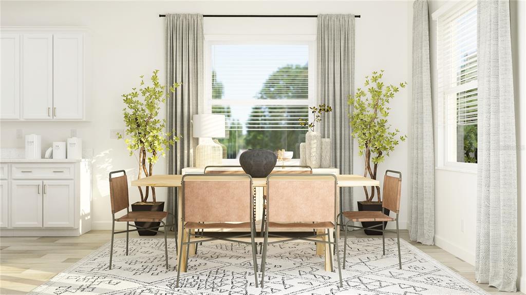 This rendering shows a dining area with a wooden table, four chairs, and potted plants — 9315 MINNOW RAY DRIVE, LAND O LAKES, FL