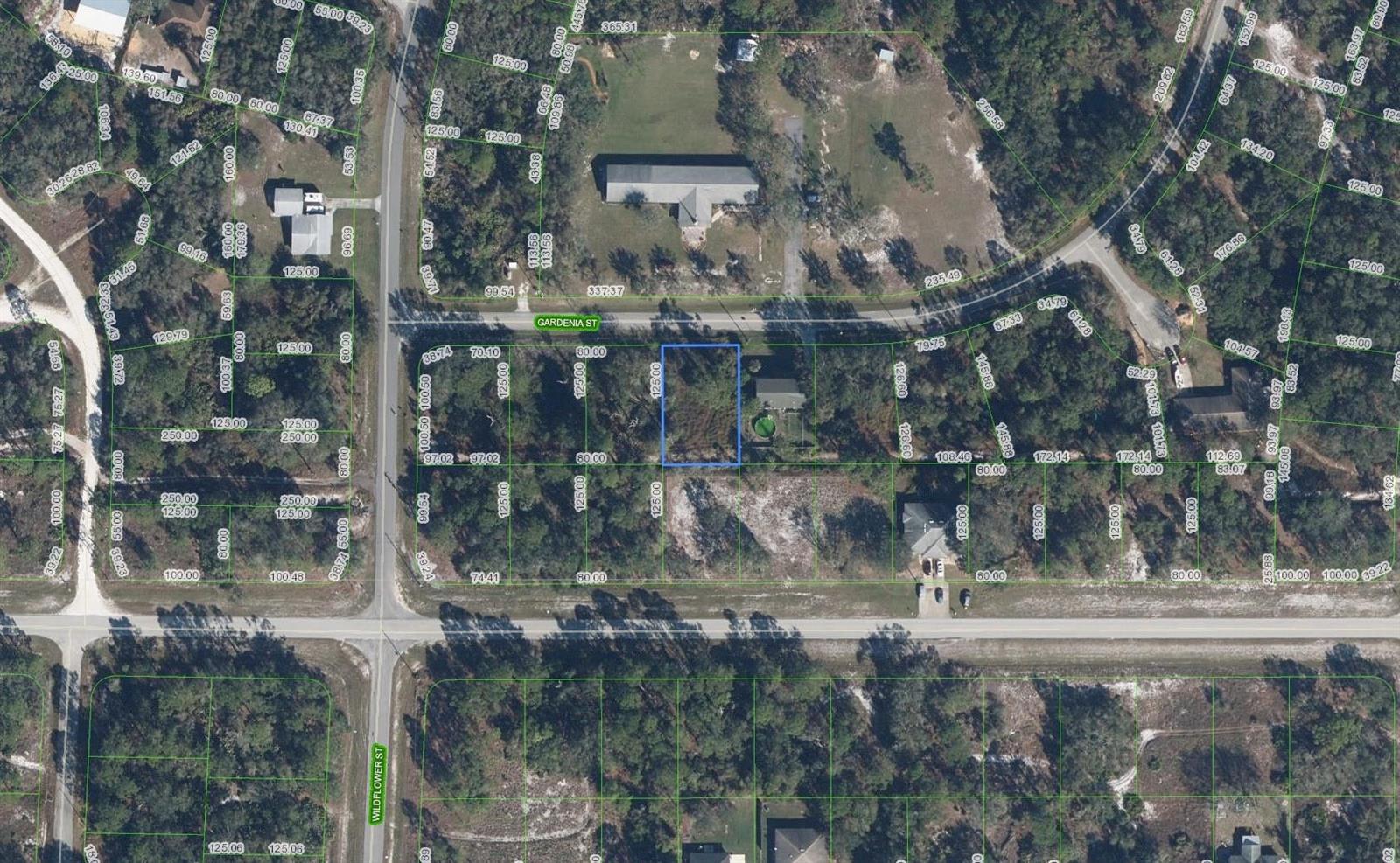805 Gardenia Street, Lake Placid FL 33852