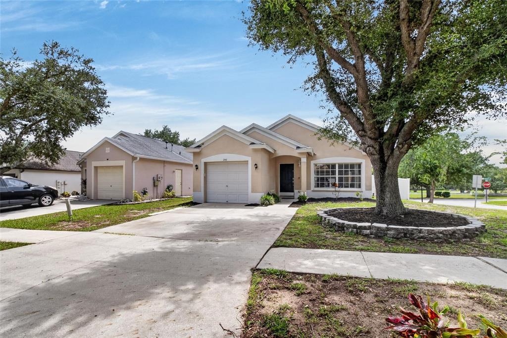 A single-story house with a beige stucco exterior, a garage, and a large front tree — 346 SUMMER SAILS DRIVE, VALRICO, FL