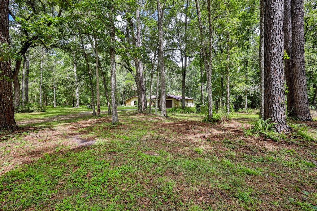 A house with a garage sits in the distance behind a wooded, grassy yard — 18255 LAKE LINDSEY ROAD, BROOKSVILLE, FL