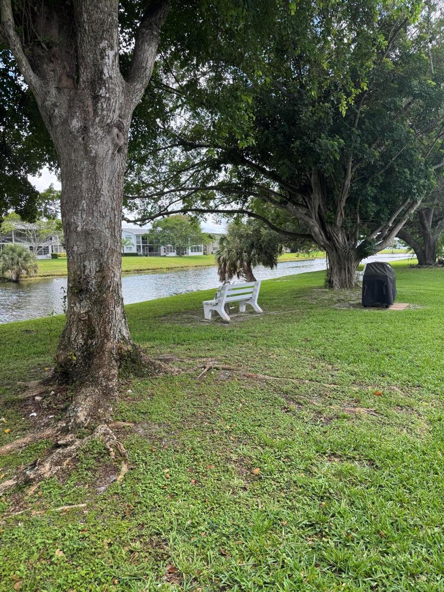 A white bench sits on a grassy lawn beside a canal under large shade trees — 463 Tilford V # 463, Deerfield Beach FL 33442, DEERFIELD BEACH, FL