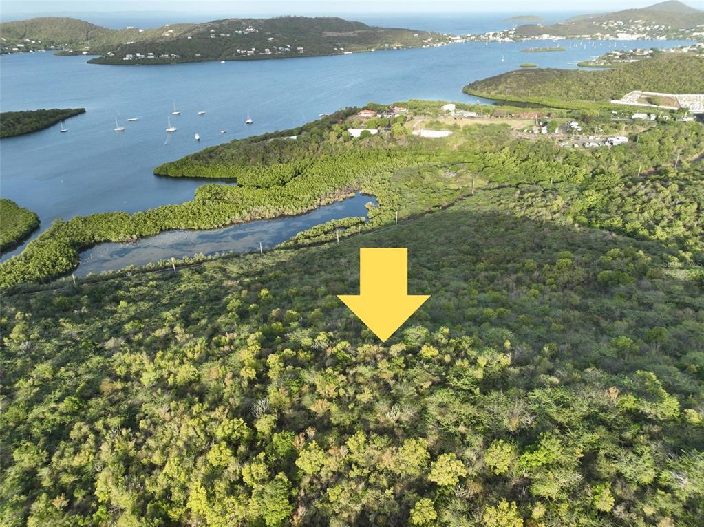 An aerial view shows a large, undeveloped, tree-covered hillside overlooking a bay with boats — 250 km. BARRIO FRAILE, CULEBRA, PR