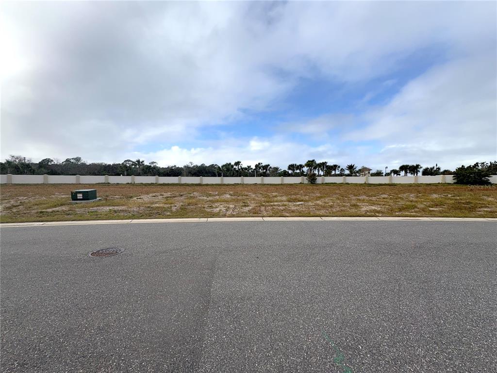 A vacant, grassy residential lot sits behind a paved street with a utility box — 48 DEL PALMA DRIVE, PALM COAST, FL