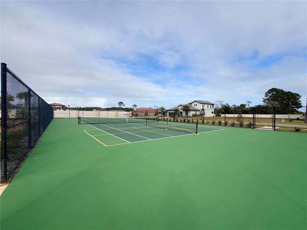 A green pickleball court is enclosed by a black chain-link fence under a cloudy sky — 48 DEL PALMA DRIVE, PALM COAST, FL