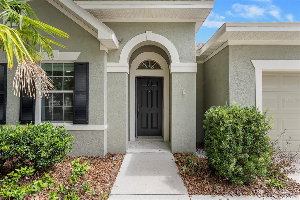 The exterior of a house features a dark front door, arched entryway, and green stucco — 15814 STARLING WATER DRIVE, LITHIA, FL