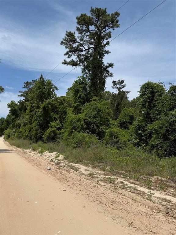 A dirt road runs alongside a dense wooded area featuring a tall pine tree — 000 FOLKLORE DR, SATSUMA, FL