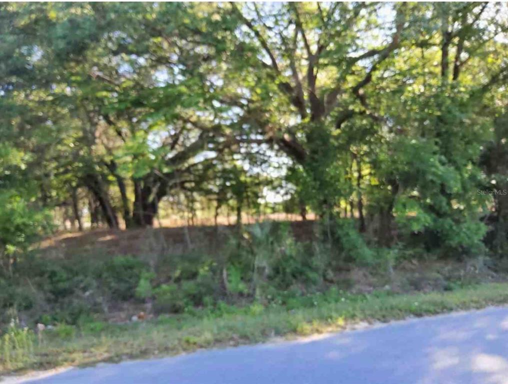 A view of a wooded lot with mature trees seen from an adjacent paved road — MARICAMP ROAD, OCKLAWAHA, FL