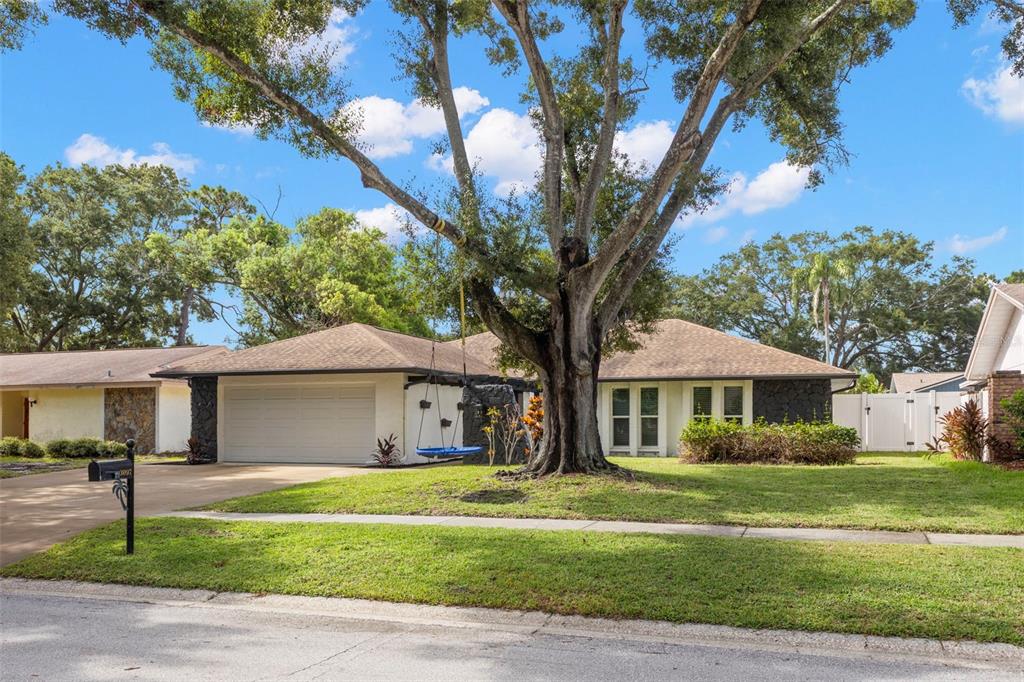 A single-story house with a two-car garage, a large tree, and a swing in front — 3097 HAVERFORD DRIVE, CLEARWATER, FL