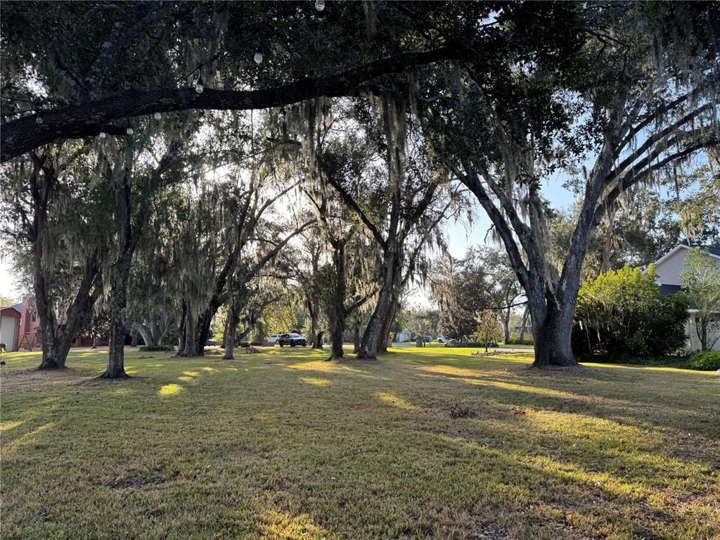 4019 NE BARTON TERRACE, ARCADIA, FL — photo 2 of 7