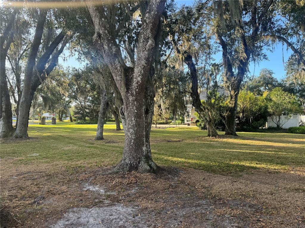 4019 NE BARTON TERRACE, ARCADIA, FL — photo 5 of 7