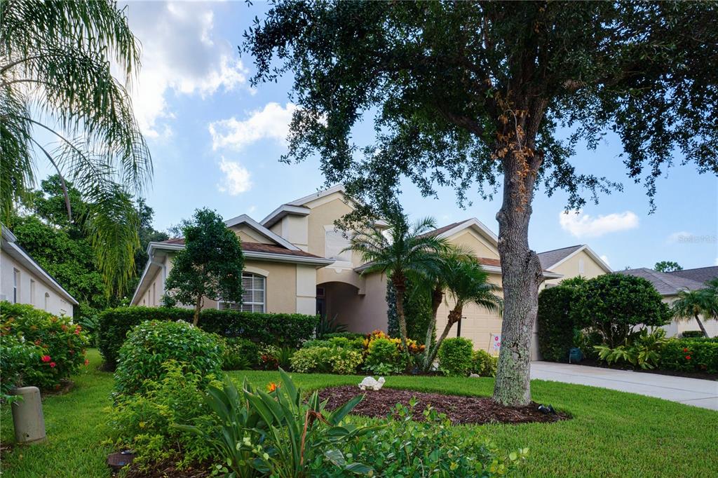 A tan house with a large tree in the front yard and a paved driveway — 7155 SPIKERUSH COURT, BRADENTON, FL