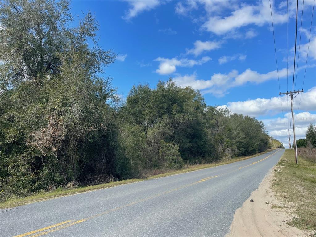 A paved road runs alongside a dense, wooded lot under a blue sky — GRAYS AIRPORT ROAD, LADY LAKE, FL