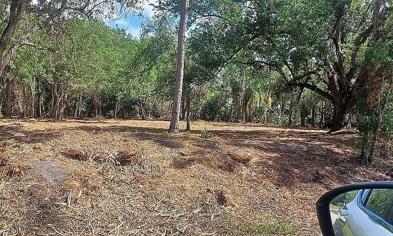 A cleared, wooded lot features scattered debris and mature trees under a blue sky — 24614 TANGERINE AVENUE, PUNTA GORDA, FL