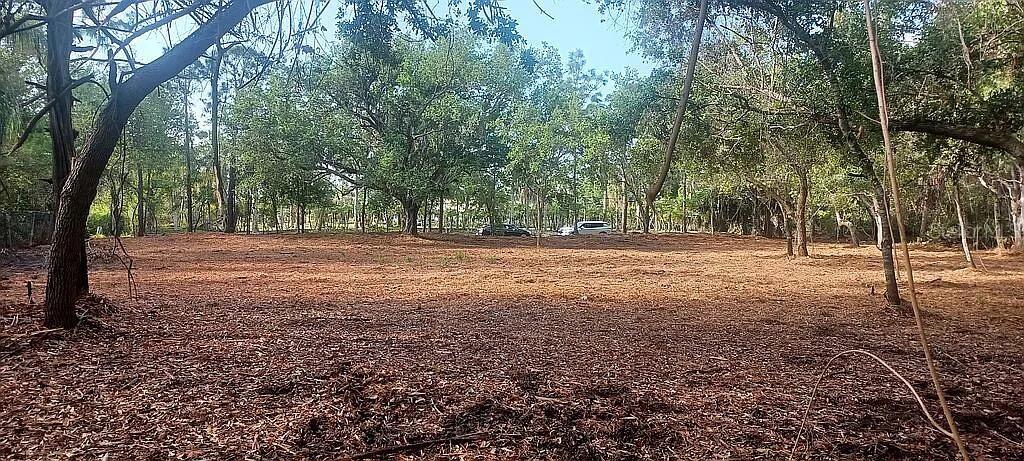 A cleared, level lot with scattered trees and mulch-covered ground under a clear sky — 24614 TANGERINE AVENUE, PUNTA GORDA, FL