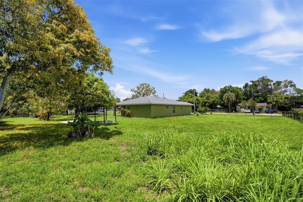 A green house sits on a large, grassy lot with mature trees under a blue sky — 1938 LILLIE STREET, FORT MYERS, FL