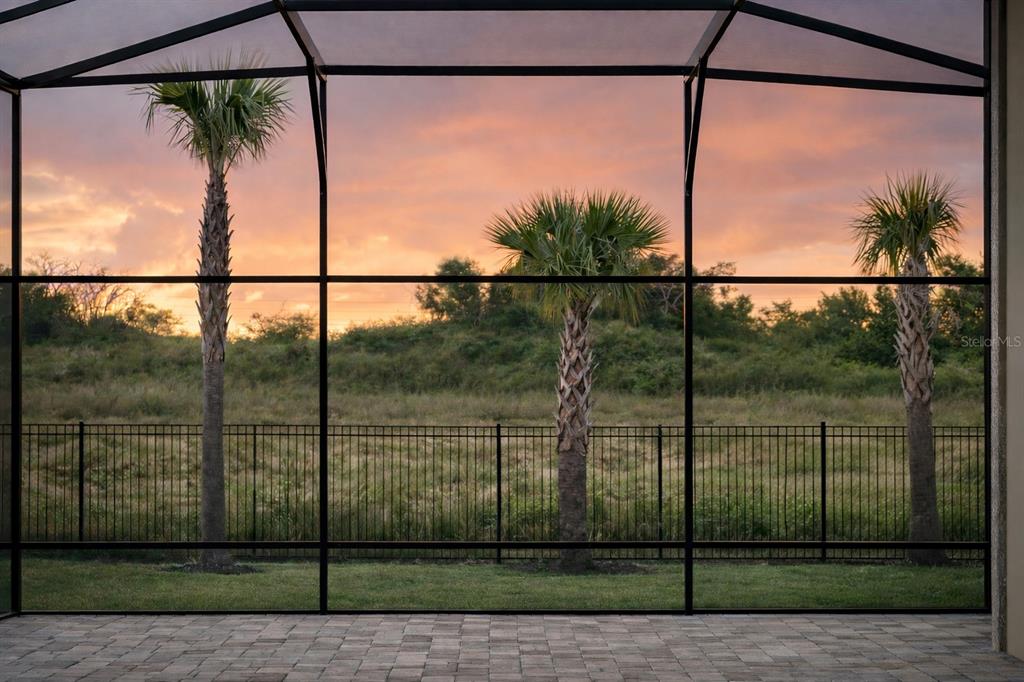A view of a sunset over a grassy field seen through a screened-in patio enclosure — 264 LADY ALICE DRIVE, DAVENPORT, FL