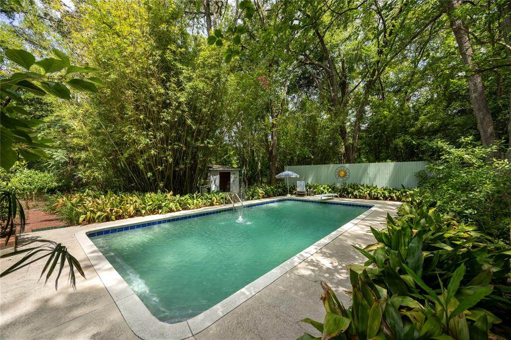 A rectangular swimming pool sits in a lush backyard surrounded by trees and greenery — 11212 SW 86TH PLACE, GAINESVILLE, FL