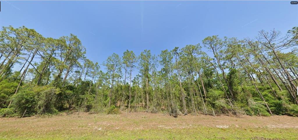 A wooded lot with tall pine trees and dense undergrowth under a clear blue sky — RIVER RANCH BOULEVARD, LAKE WALES, FL