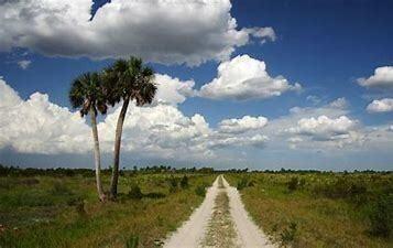 This is a satellite map view of a vacant, wooded lot marked with a red pin — 15463 NW 306th Street, Okeechobee FL 34972, OKEECHOBEE, FL