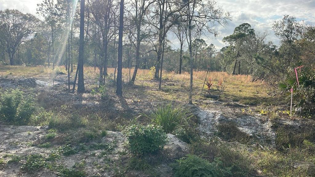 KELLY RIDGE ROAD