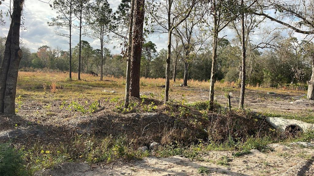 A grassy, partially cleared lot features scattered trees and a concrete drainage pipe — KELLY RIDGE ROAD, FROSTPROOF, FL