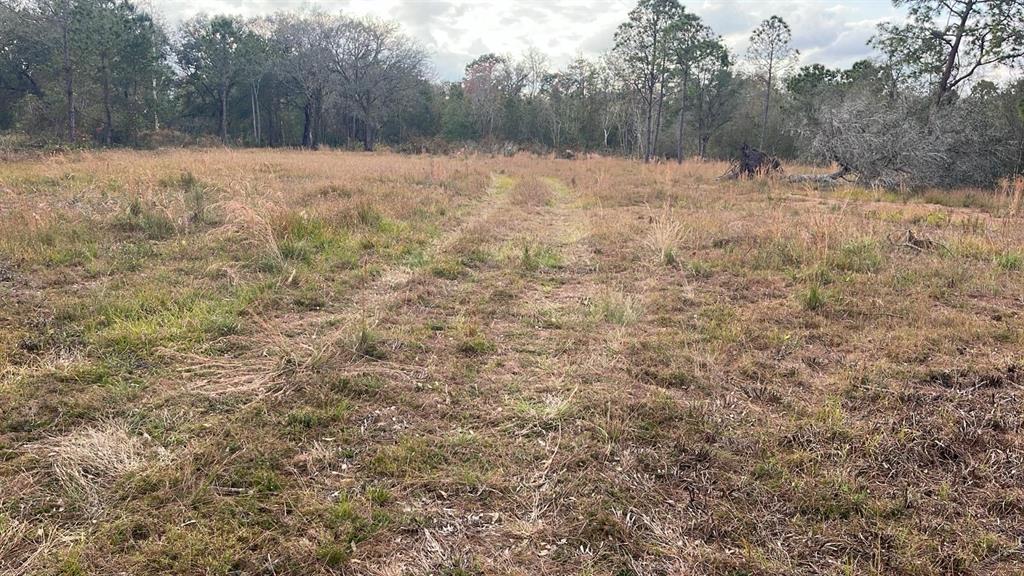 A wide, grassy field with tire tracks leading toward a line of trees in the distance — KELLY RIDGE ROAD, FROSTPROOF, FL