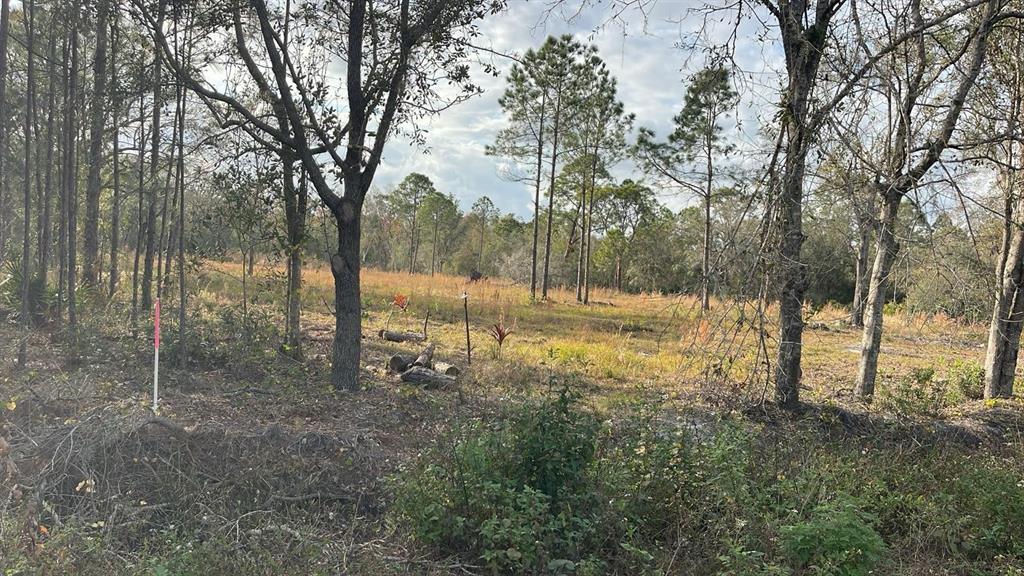 A wooded, grassy lot with a survey marker stake in the foreground — KELLY RIDGE ROAD, FROSTPROOF, FL