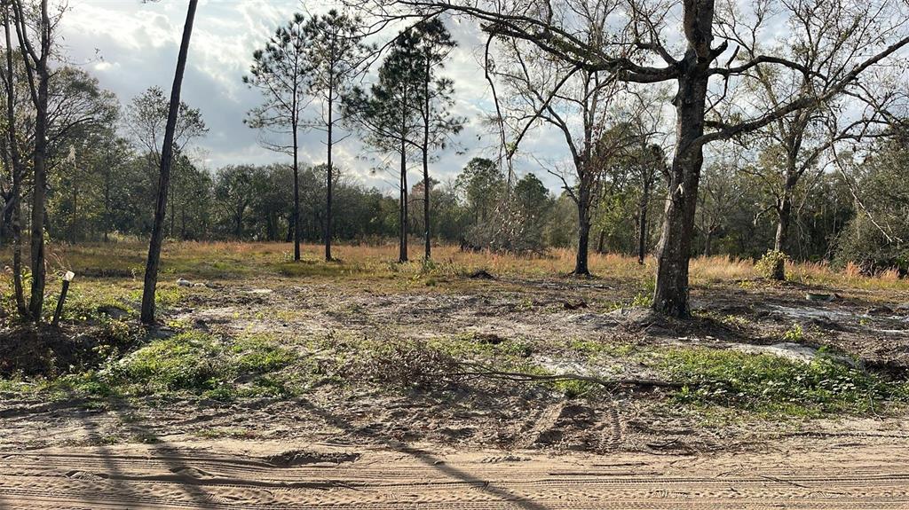 A vacant, sandy lot with scattered trees and tall grass under a cloudy sky — KELLY RIDGE ROAD, FROSTPROOF, FL