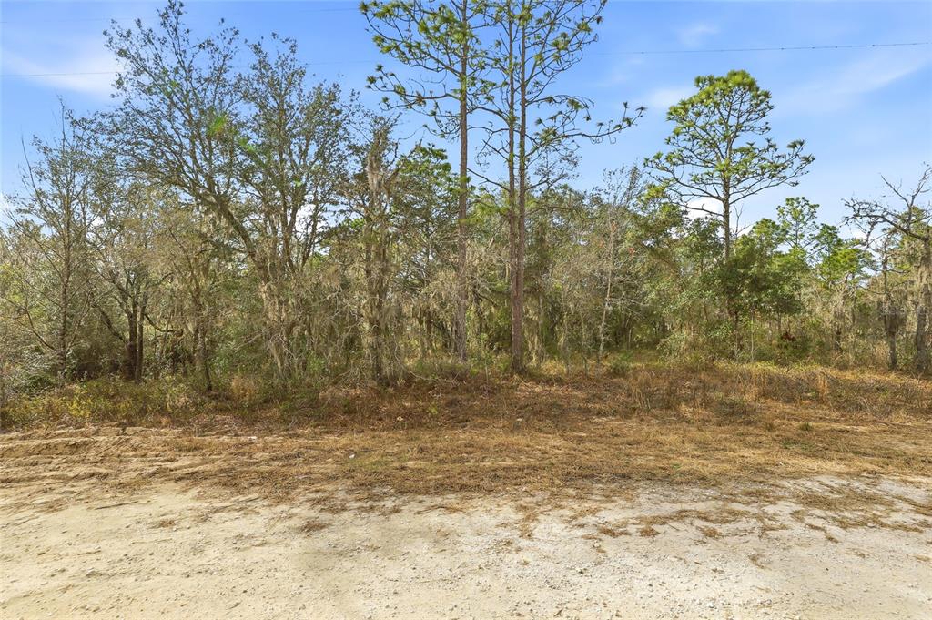 A view of a wooded lot with sandy ground in the foreground — CAYMAN ROAD, WEEKI WACHEE, FL