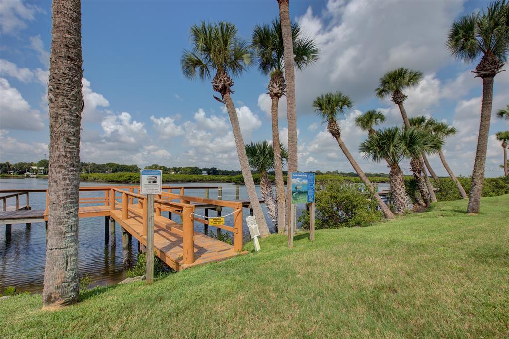 A wooden pier extends into a calm waterway surrounded by palm trees and grassy land — 58 SABAL CAY COURT, NEW SMYRNA BEACH, FL
