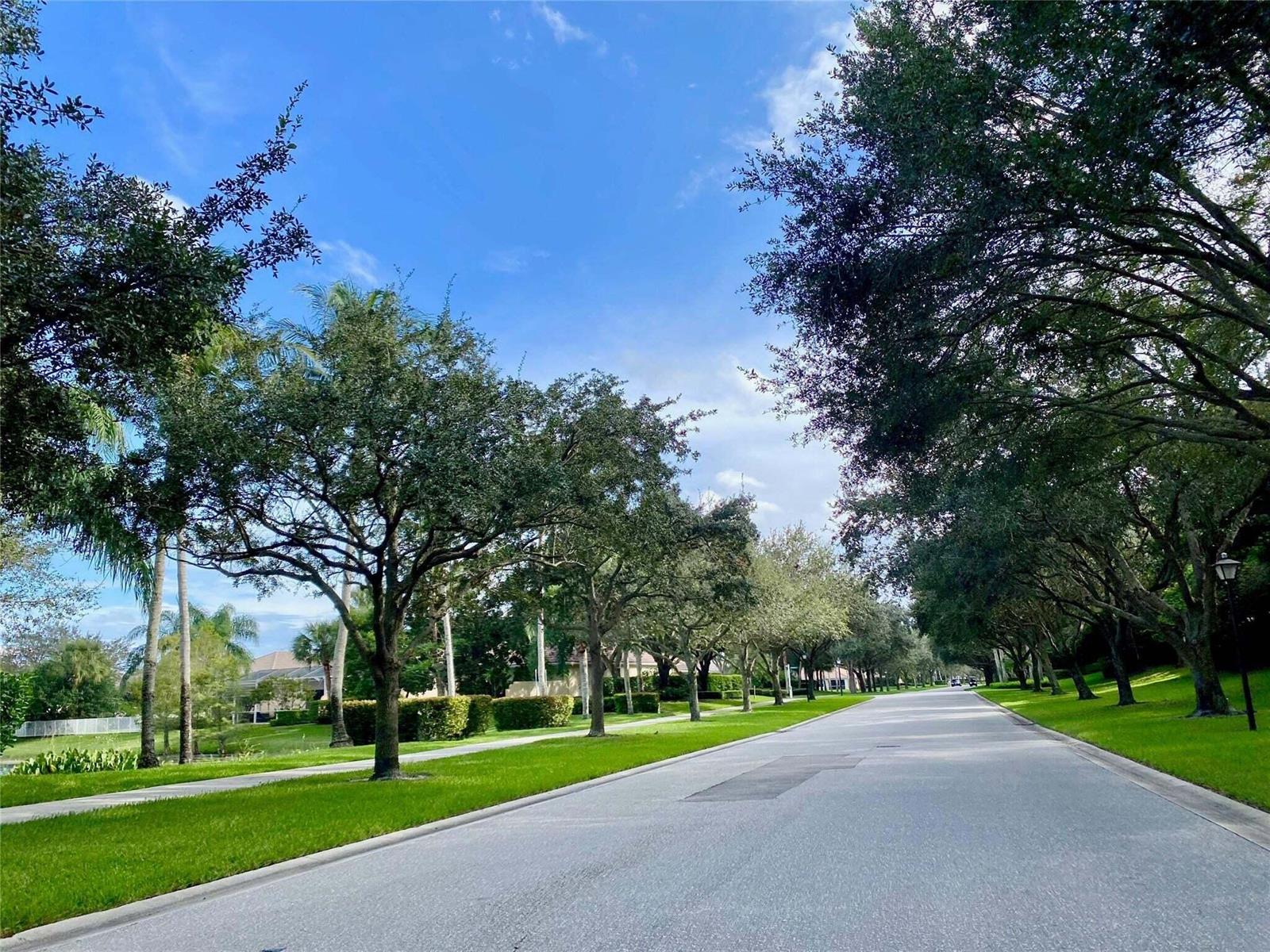 A paved residential street lined with mature trees and manicured lawns under a blue sky — 8270 Eleuthera Lane, Wellington FL 33414, WELLINGTON, FL