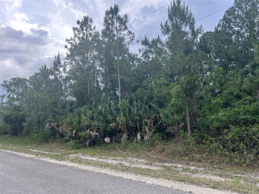 A paved road runs alongside a wooded lot with pine trees and dense palmetto bushes — UNIT 82 12TH AVENUE SE UNIT 82, NAPLES, FL