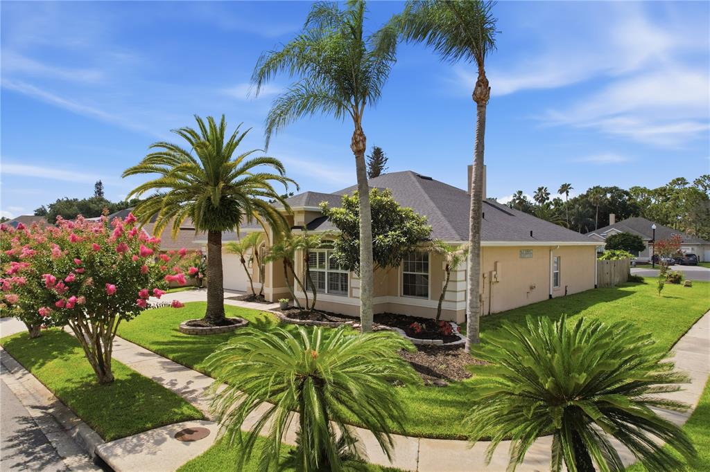 A tan single-story house with a gray roof, palm trees, and a blooming crepe myrtle — 13000 CRYSTAL COVE DRIVE, ORLANDO, FL