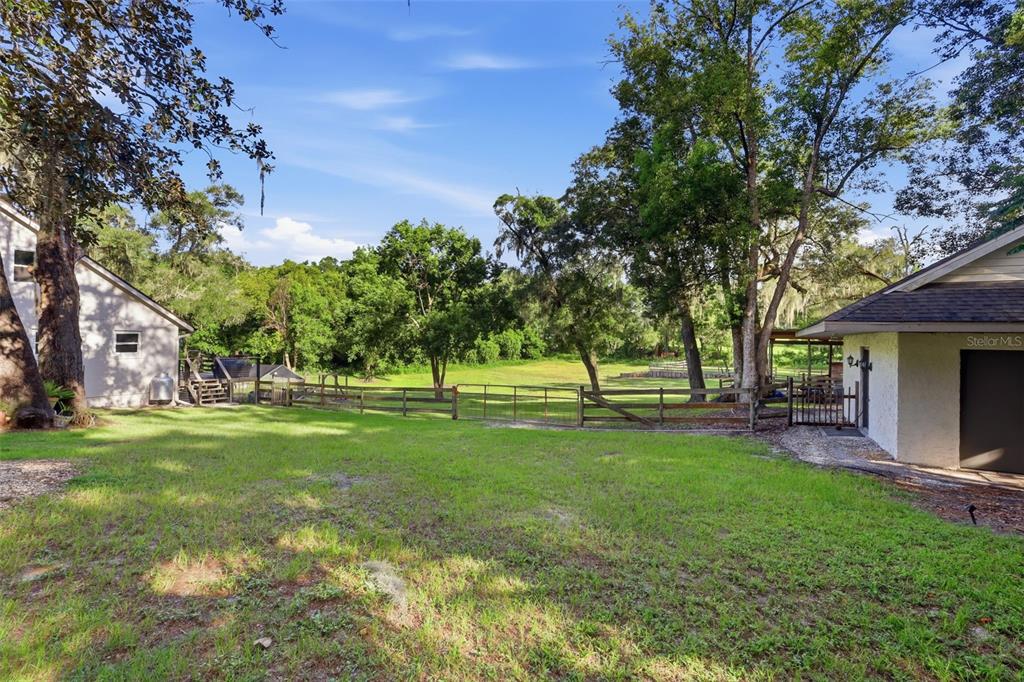 A grassy backyard features a wooden fence separating the lawn from a wooded area — 19832 W ELDORADO DRIVE, EUSTIS, FL