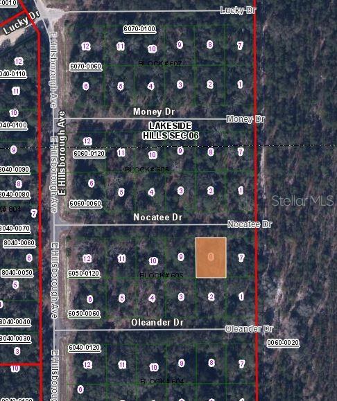 109 NOCATEE DRIVE, FLORAHOME, FL — photo 3 of 3