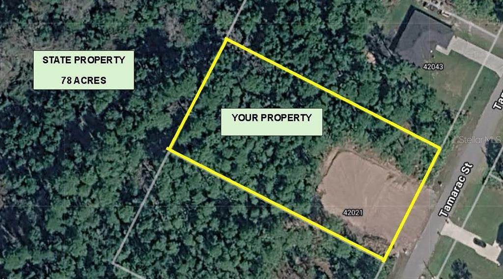 This aerial map shows a rectangular plot of land adjacent to a wooded state property — 42021 TAMARAC STREET, EUSTIS, FL