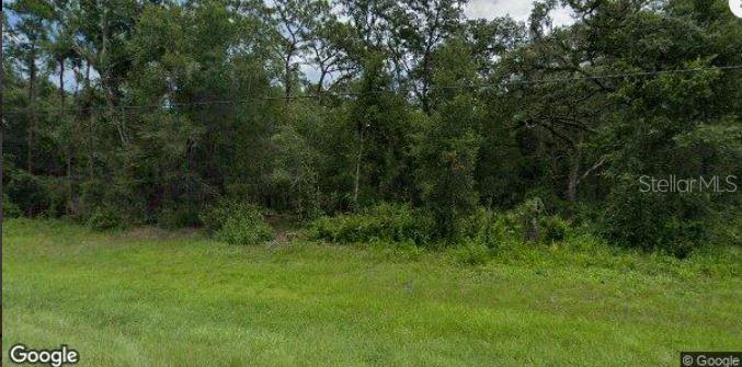 A grassy, open lot is bordered by a dense line of mature trees and vegetation — 8250 TREIMAN BLVD BOULEVARD, WEBSTER, FL