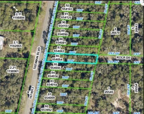 This is a satellite map showing a rectangular plot of land highlighted in blue — 8250 TREIMAN BLVD BOULEVARD, WEBSTER, FL