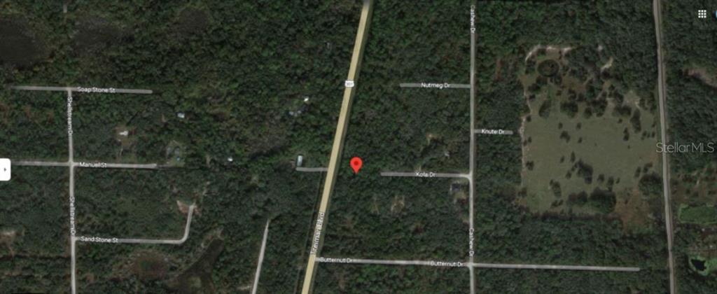 This is a satellite map view showing a wooded lot marked with a red pin — 8250 TREIMAN BLVD BOULEVARD, WEBSTER, FL