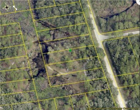 An aerial view shows a vacant, wooded residential lot outlined in yellow on a map — 8250 TREIMAN BLVD BOULEVARD, WEBSTER, FL